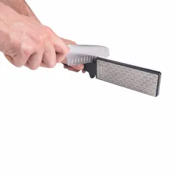 101769