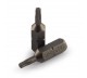 BIT 1/4 IN TORX 6x25MM STACO