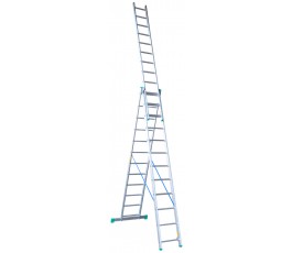 31146