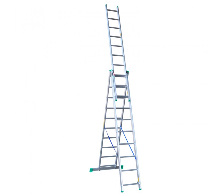 49815