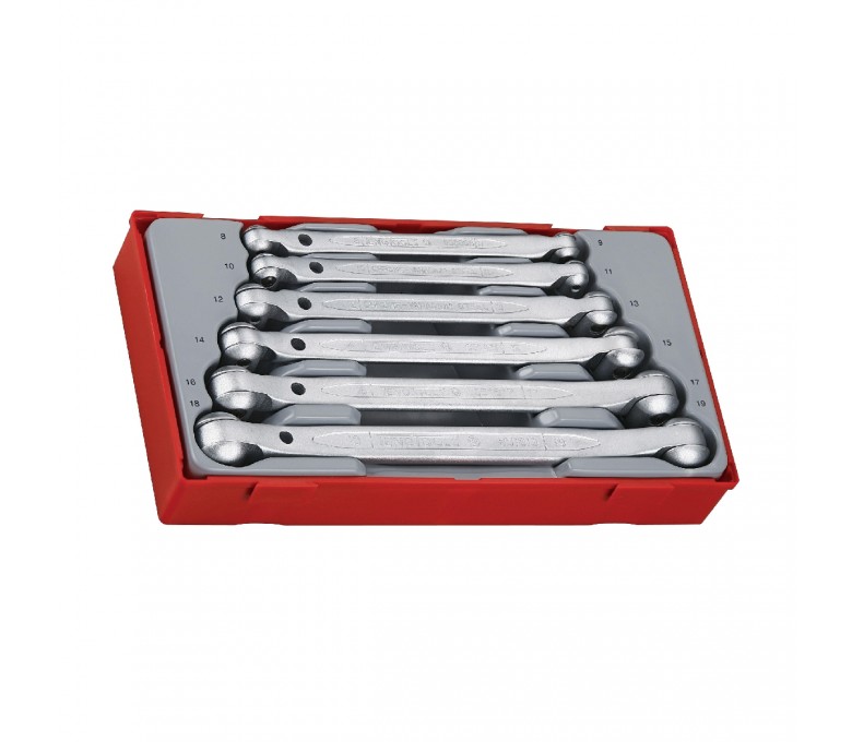 TENG TOOLS 6-ELEMENTOWY ZESTAW KLUCZY NASADOWYCH PRZEGUBOWYCH CRV TT6506 8X9-18-19 73000101