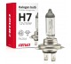 AMIO ŻARÓWKA HALOGENOWA H7 12V/55W FILTR UV 01156