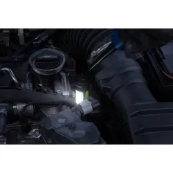 98019